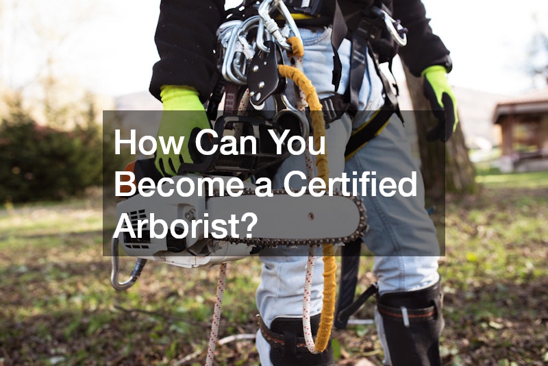 How Can You Become a Certified Arborist?